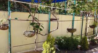 Гостиница Guest House Adler Адлер-4