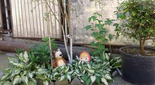 Гостиница Guest House Adler Адлер-5