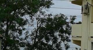 Гостиница Guest House Adler Адлер-3